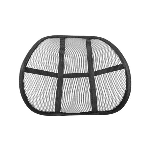 02506 1 mesh lumbar back support.jpg
