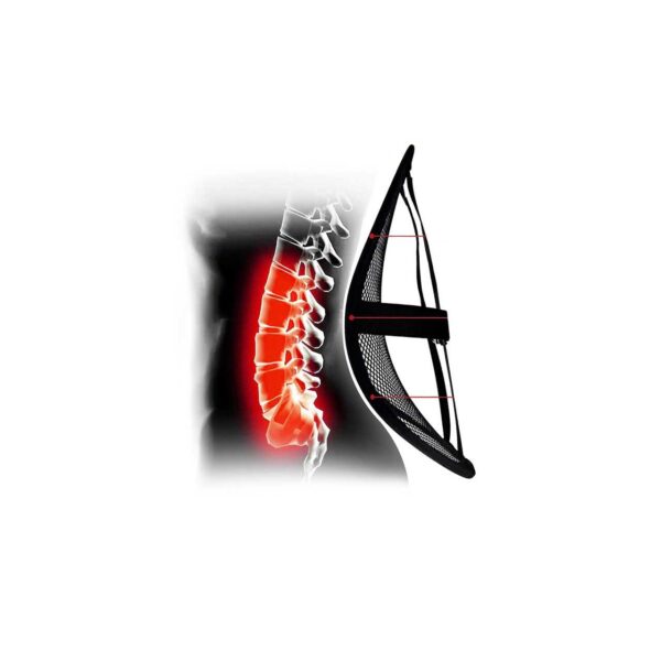 02506 3 mesh lumbar back support 309x 44.jpg