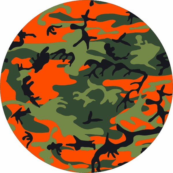FOLII JANTE 29D.png