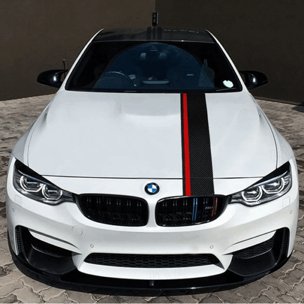double bar rally stripe 05 734x700.png