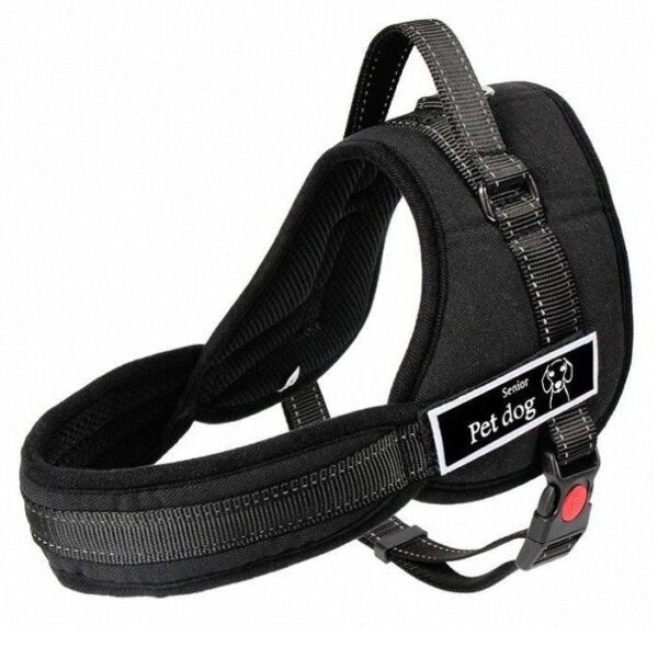 senior pet dog harness 1.jpg